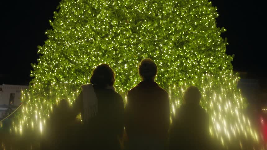 A family looks up at a brightly lit tree