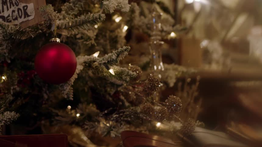 A red ornament hangs on the christmas tree