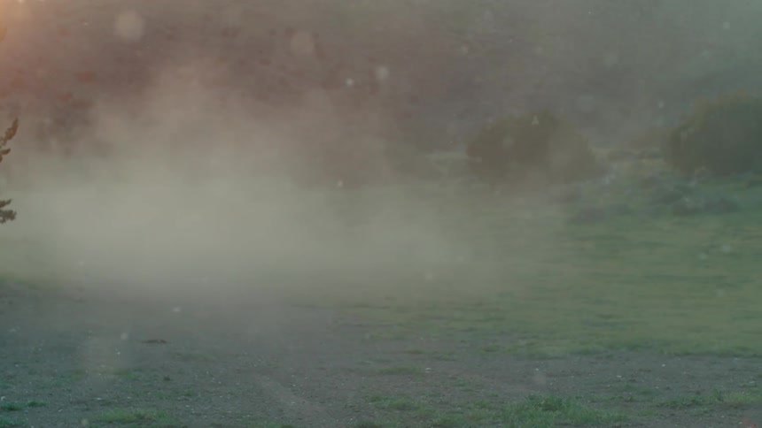 The green field is covered with fog