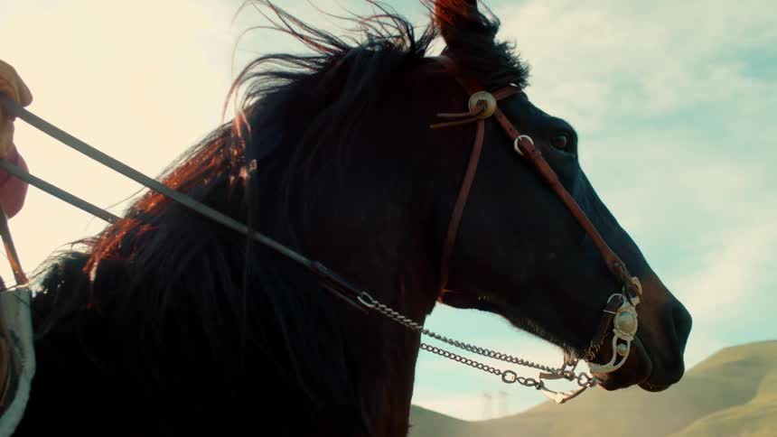 A cowboy rides a galloping horse