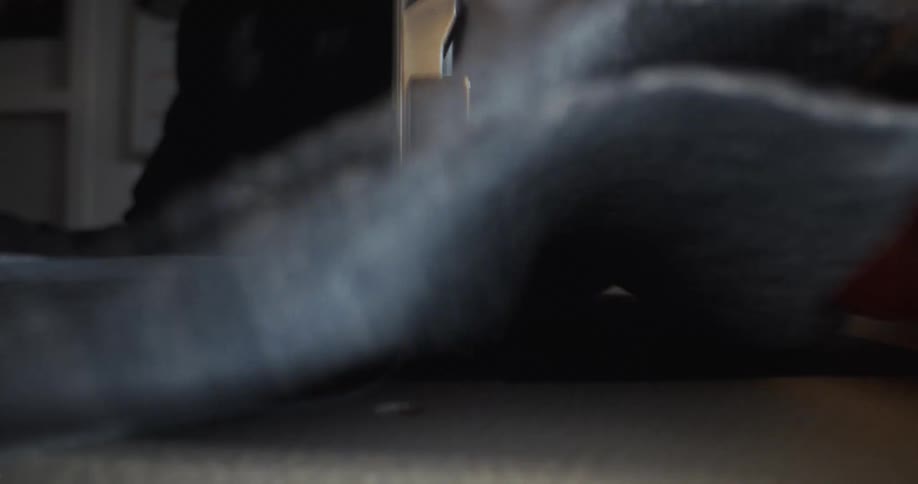 A detailed close-up shot shows a sewing machine needle stitching a seam on a piece of blue denim fabric