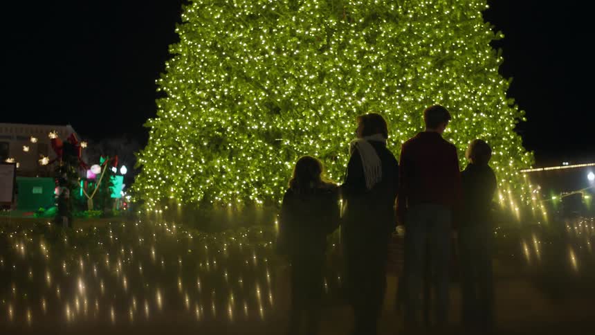 A family stands in front of a very large christmas tree at night