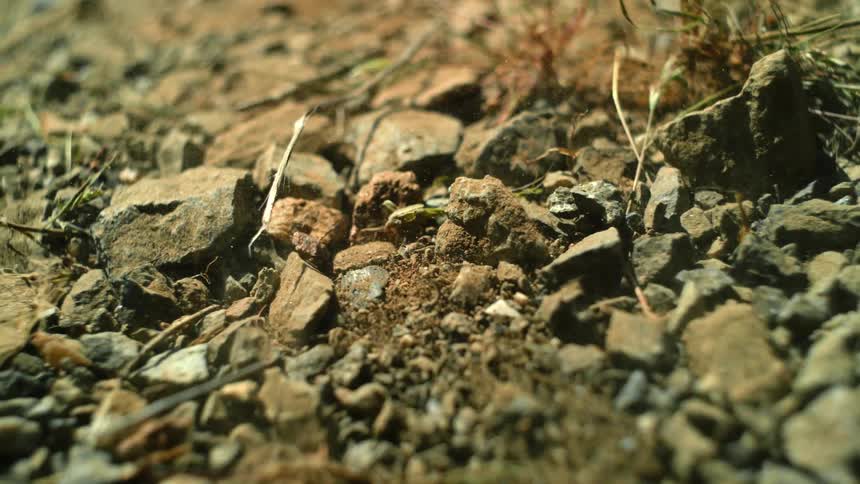 Dirt and rocks bounce into the air as the ground vibrates