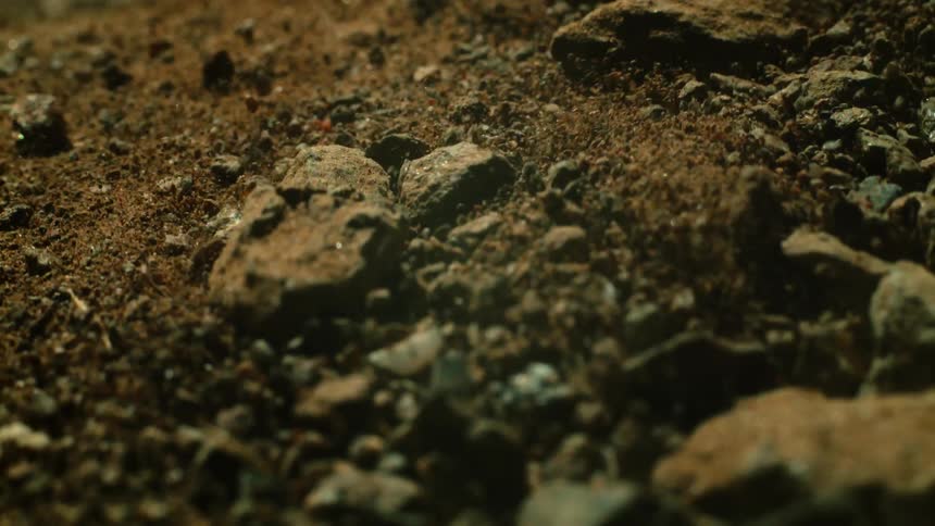 The ground shakes with rocks and dirt moving everywhere
