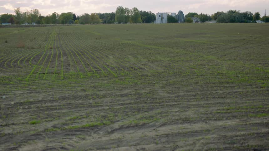 The field is green and flat on a cloudy day