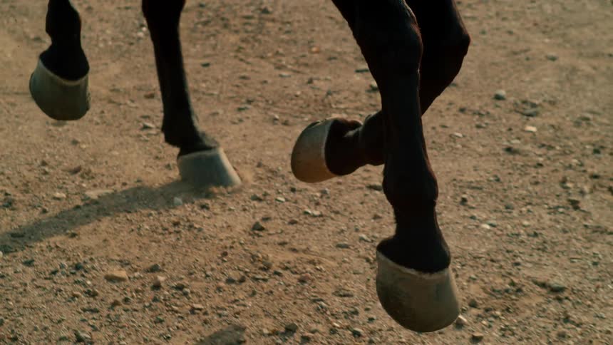 Man is riding horse on cloudy day