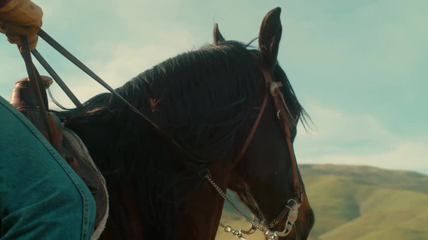 A horse's mane blows in the breeze as it is being rode