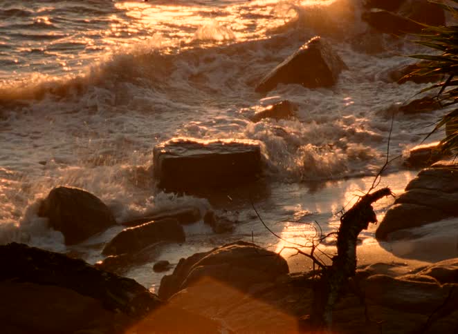 Slow-motion waves crash over a rocky shore, illuminated by the warm, golden light of a beautiful sunset