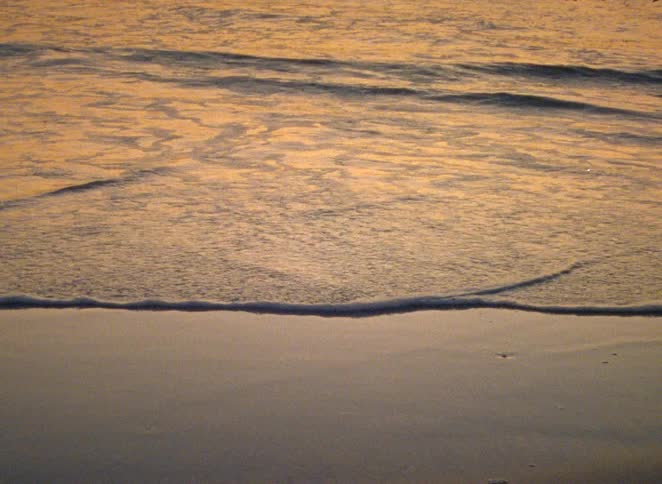 Close up of the calm ocean tide rolling onto the wet sand during a warm, golden sunset