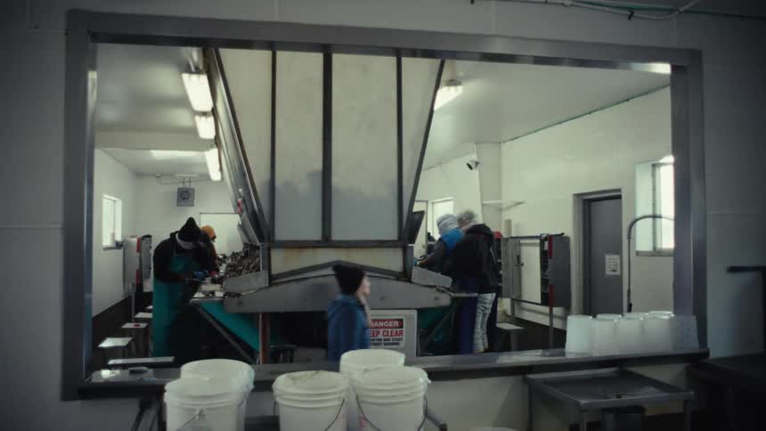 Workers in protective gear sort food on an assembly line in a sterile industrial processing plant