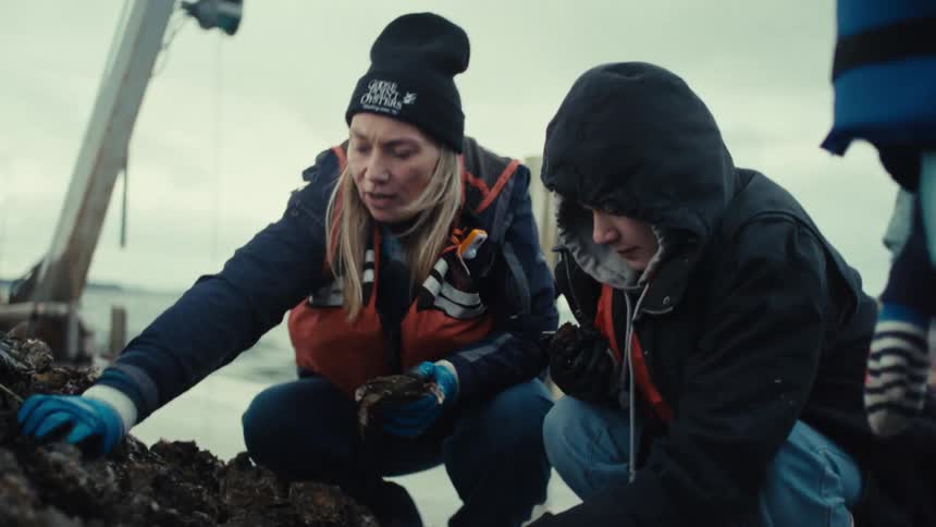 An experienced oyster farmer teaches a younger worker how to sort through freshly harvested oysters on a dock