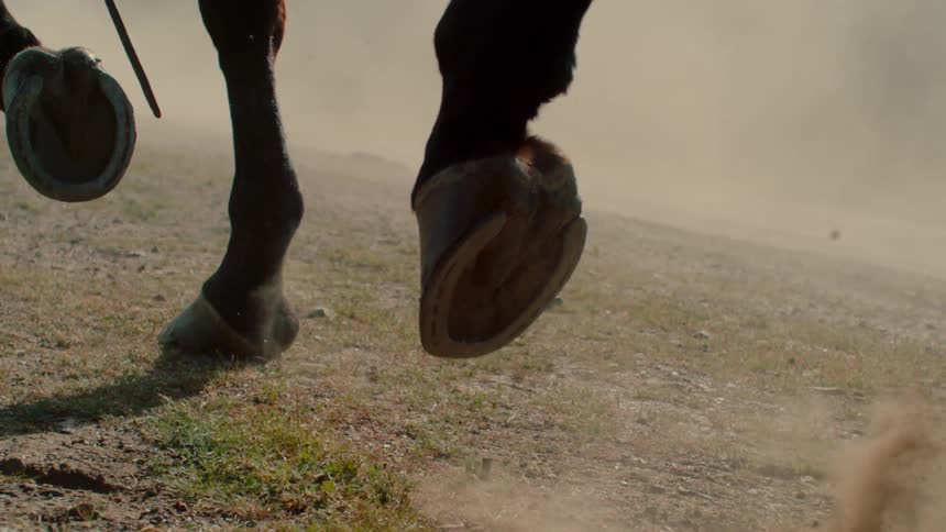 A horses hoofs move slowly in the dirt