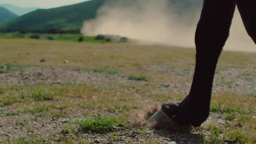 A horse's hooves kick up dust and pebbles as it runs