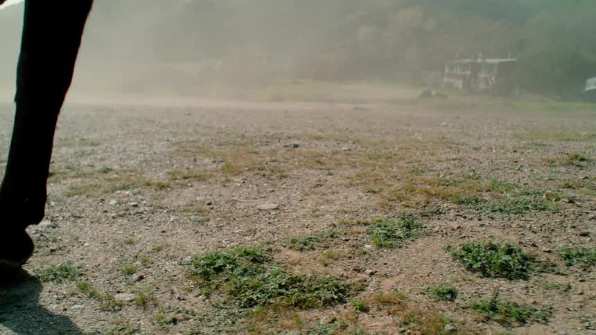 The bottom half of a horse's legs as it is running