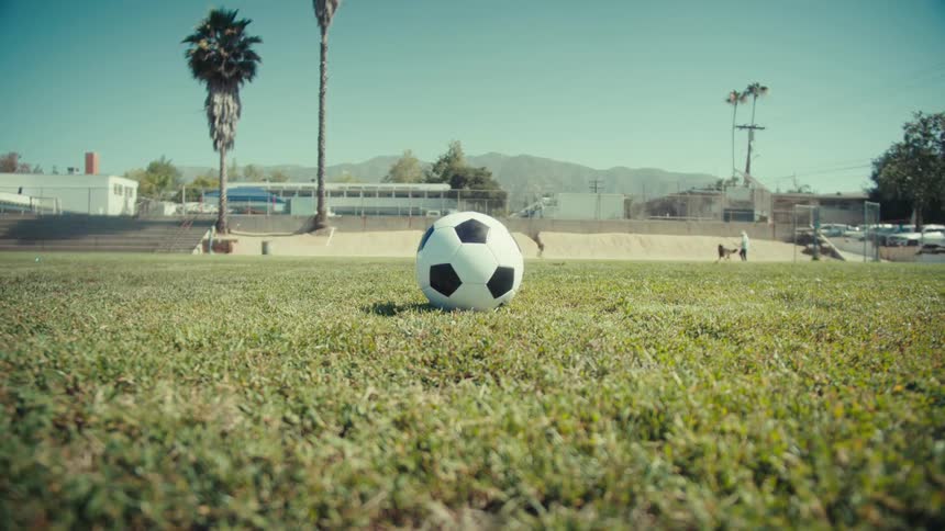 A soccer player's foot kicks a soccer ball on a sunny, green field with palm trees in the background