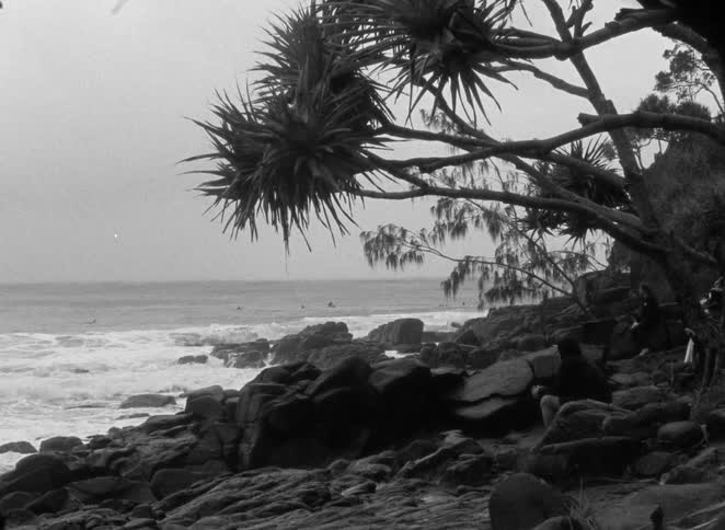 A serene black and white view of a rocky coastline with a person watching surfers ride waves under an overcast sky