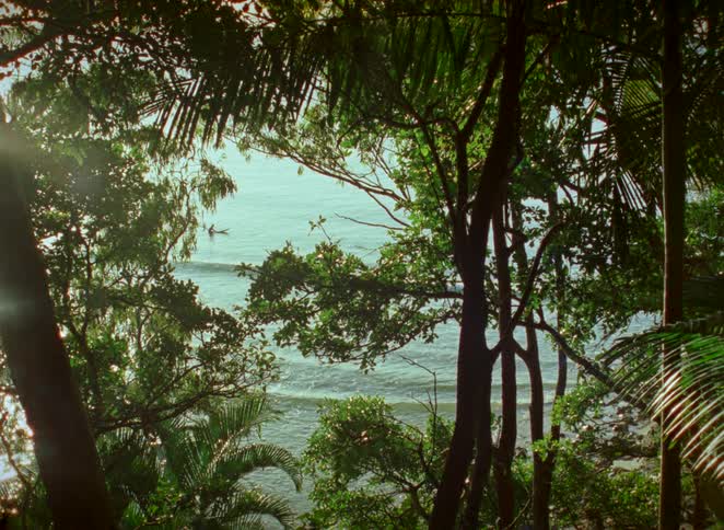 A serene view of distant surfers riding waves on the ocean, framed by lush tropical jungle foliage