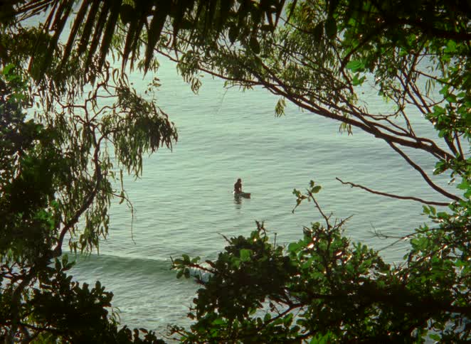 A lone surfer waits patiently for the next wave, viewed through a natural frame of tropical trees