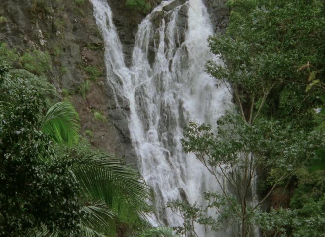 A stunning waterfall is revealed behind a lush tropical jungle as the camera tilts upwards along the rushing water