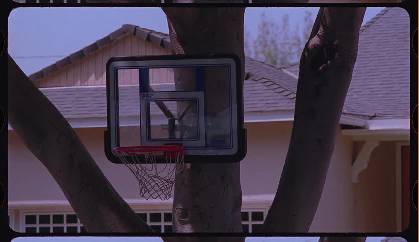A still shot film scan shows a child's basketball hoop attached to a tree in a suburban neighborhood