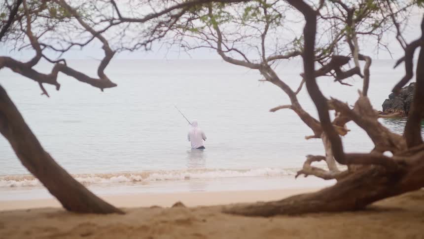 A lone fisherman casts his line into the tranquil ocean from a secluded beach, framed by gnarled tree branches