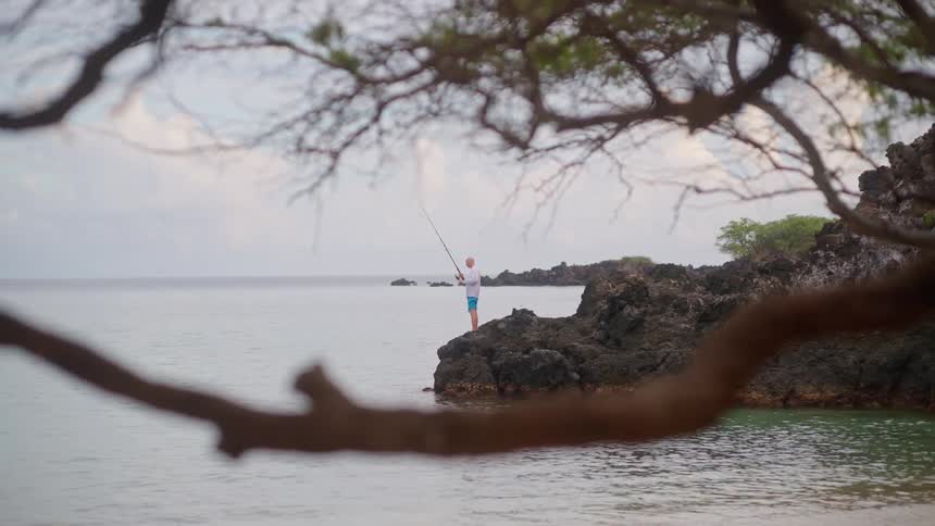 A lone fisherman casts his line from a rocky shoreline into the calm ocean, framed by out-of-focus tree branches