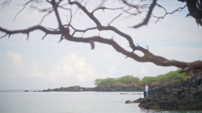 A man stands on a volcanic rock shoreline, framed by a tree branch, looking out at the calm tropical ocean