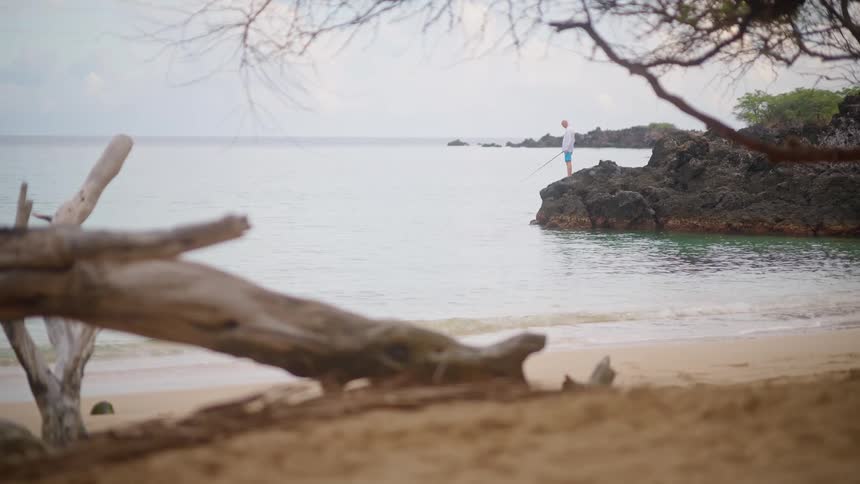 A lone fisherman stands on a rock in a tranquil ocean cove, with driftwood on the sandy beach in the foreground