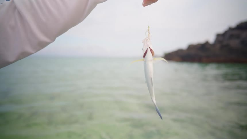 Close-up slow motion of a small, struggling fish dangling from a hook held by a fisherman over shallow ocean water