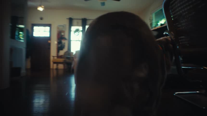 A slow-motion shot follows a scruffy dog with a colorful bandana as it walks through a dimly lit house
