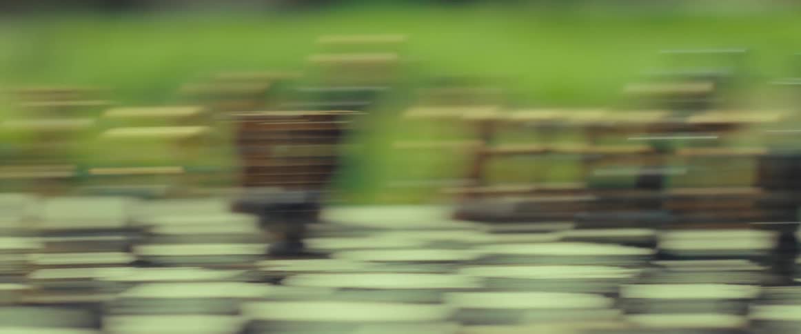 A fast camera swipe blurs a close-up of a chess game being played in a sunny garden