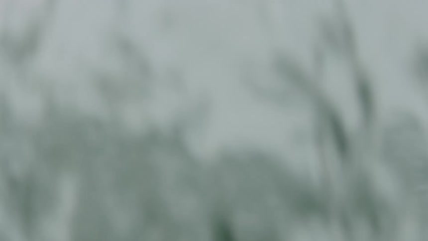 An immersive slow-motion view of an ocean wave cresting and then plunging the camera into the green water below