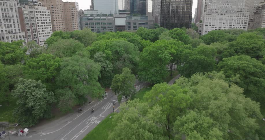 An aerial view flies over the lush green trees of Central Park, revealing the iconic Columbus Circle and Midtown Manhattan skyline