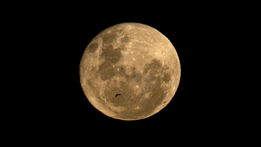 A silhouetted bird glides in slow motion across the face of a large, detailed full moon against a dark night sky