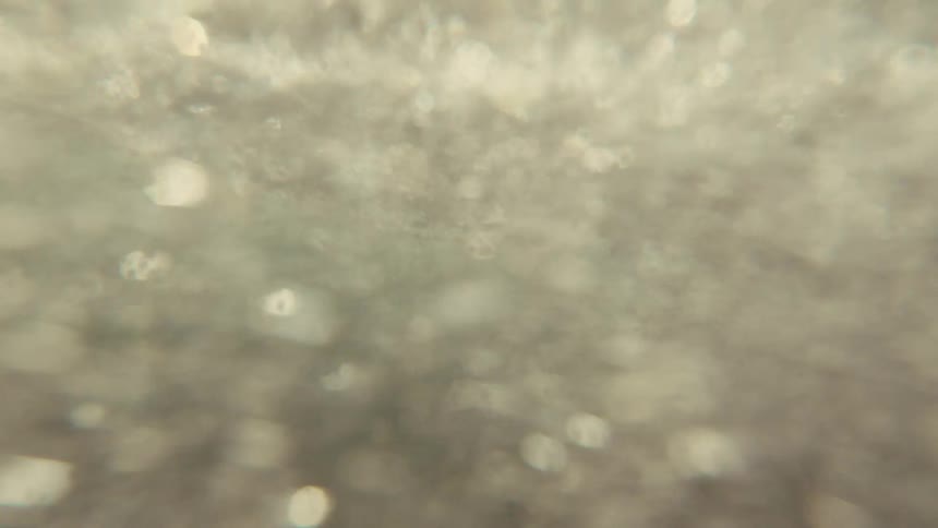 An abstract, out-of-focus underwater shot captures turbulent water and floating bubbles in slow motion