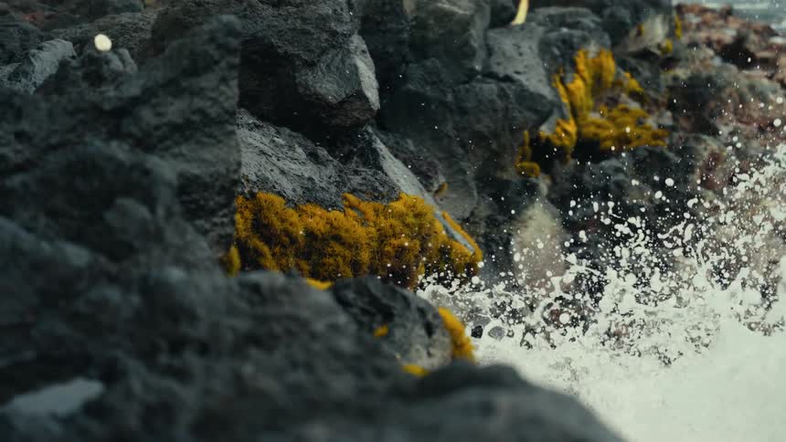 Ocean waves crash against rugged volcanic rocks covered in vibrant yellow moss in dramatic slow motion