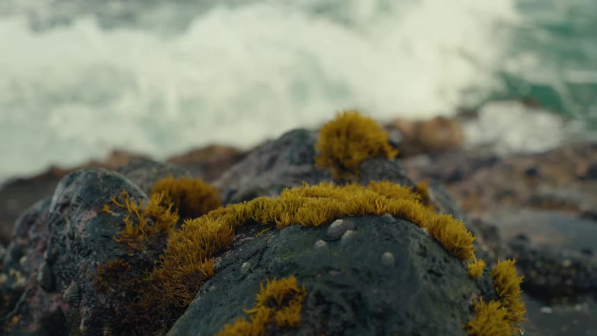 A powerful ocean wave crashes over mossy rocks in dramatic slow motion