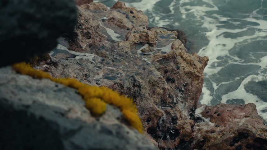 Close-up of ocean water trickling over volcanic rocks with a vibrant patch of yellow moss on the shoreline
