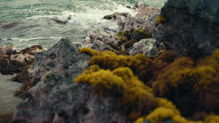 Slow motion close up of gentle ocean waves washing over vibrant yellow moss on a rocky coastline