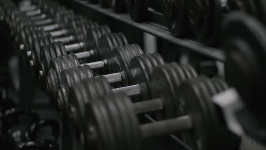 Bar-bell style weights sit on a rack
