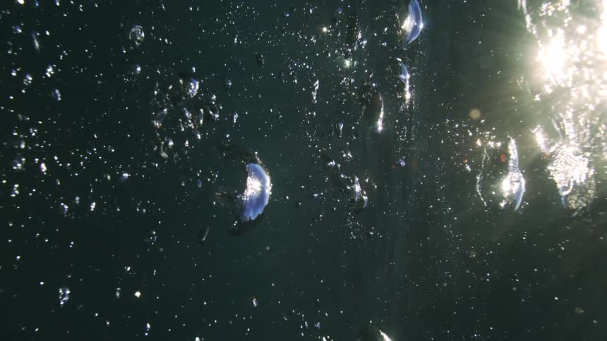 An abstract underwater perspective shows shimmering air bubbles floating slowly toward the sun's bright rays