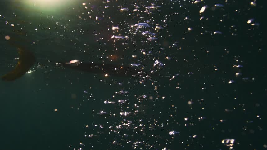 Slow motion shot looking up from underwater at shimmering bubbles rising past a surfboard fin towards the sunlit surface of the ocean
