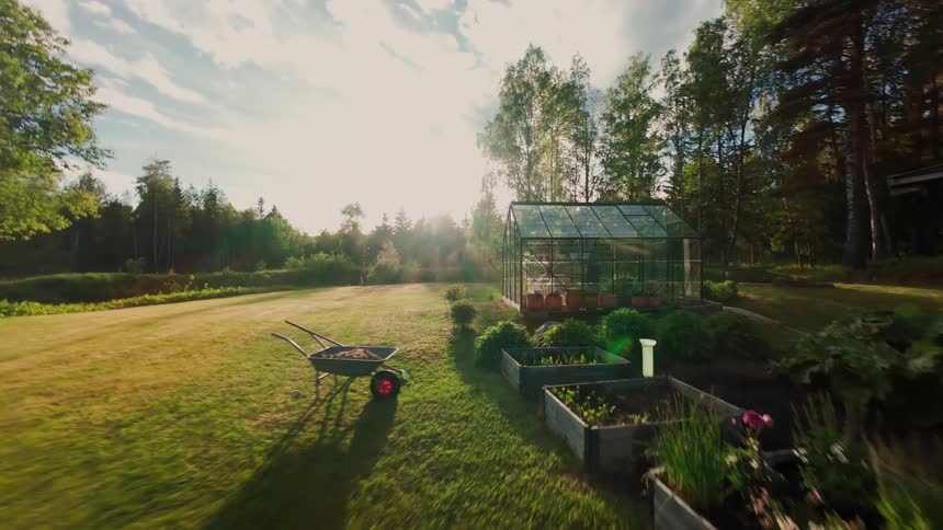 A dreamy, sun-drenched shot slowly moving through a lush backyard with a greenhouse, raised garden beds, and a wheelbarrow