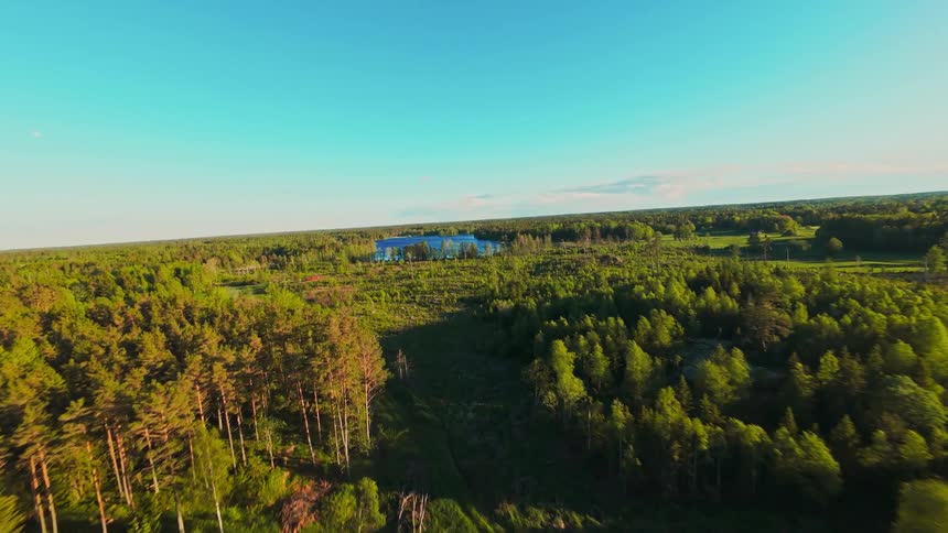 An aerial FPV drone flight soars over a vast, sun-drenched green forest towards a tranquil blue lake under a clear sky