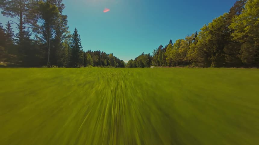 An exhilarating FPV drone flight soaring low and fast across a vibrant green meadow between two dense forests on a sunny day