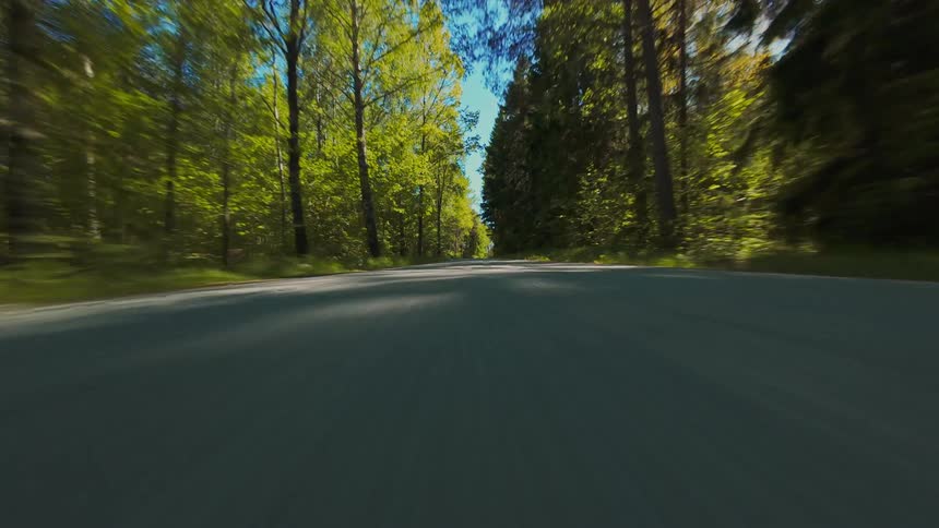 Dynamic low-angle point-of-view shot of a rapid journey down an asphalt road through a sunny, verdant forest