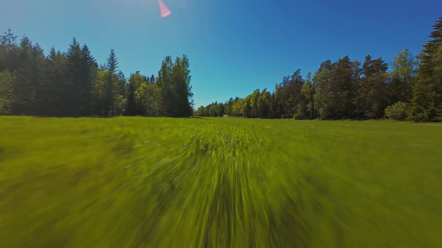 Low-angle drone perspective speeding across a vibrant green field bordered by a thick forest under a clear blue sky