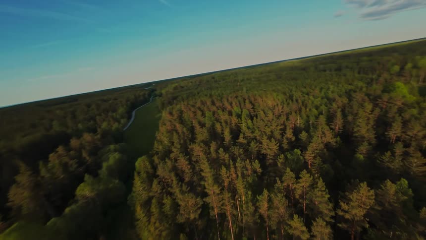 A dynamic FPV drone flies at a tilted angle over a vast, lush green forest landscape during the golden hour