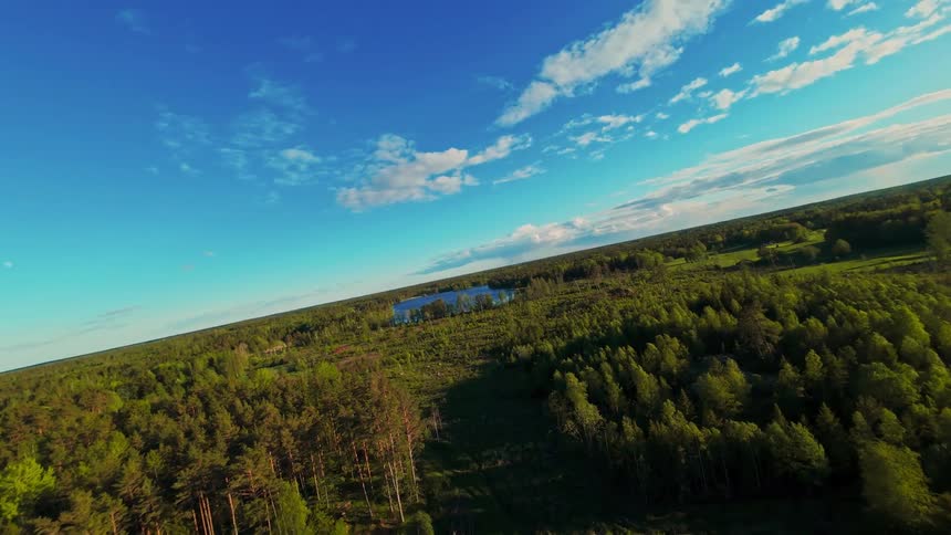 A dynamic aerial view shows an FPV drone flying over a sprawling forest on a bright, sunny day