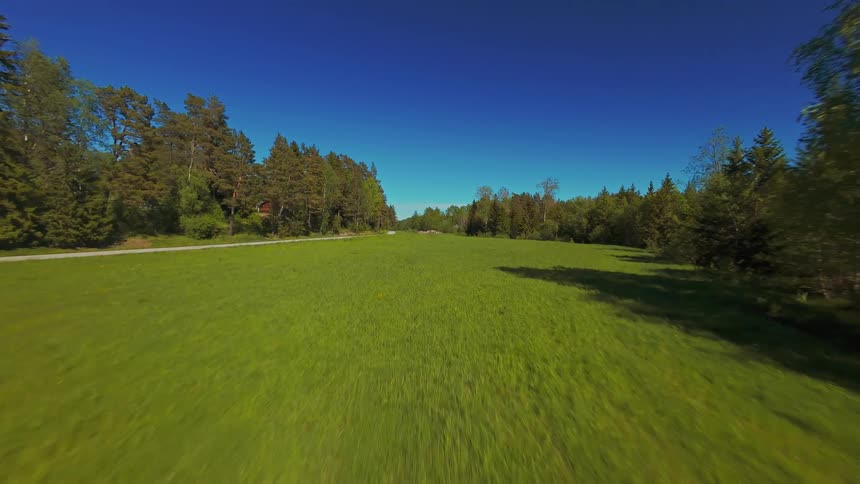 A fast drone flies backward over a sunlit green meadow bordered by a dense forest under a clear blue sky